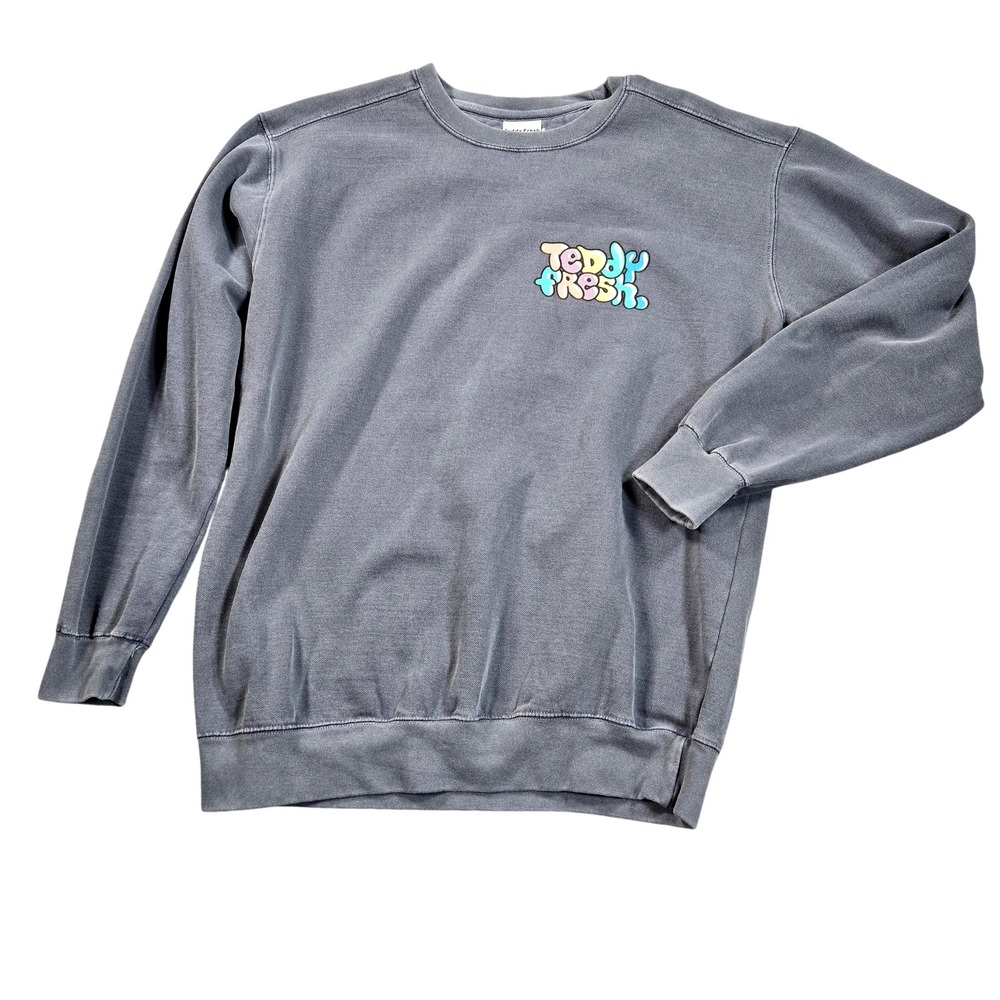 Teddy Fresh Sweatshirt Mens Medium Gray‎ Colorful Logo Pullover Back Graphic